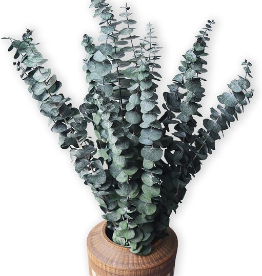 10 Pcs Dried Eucalyptus Shower Bundle – 17" Real Eucalyptus Stems with Lavender for Home Spa, Wedding, and Farmhouse Decor